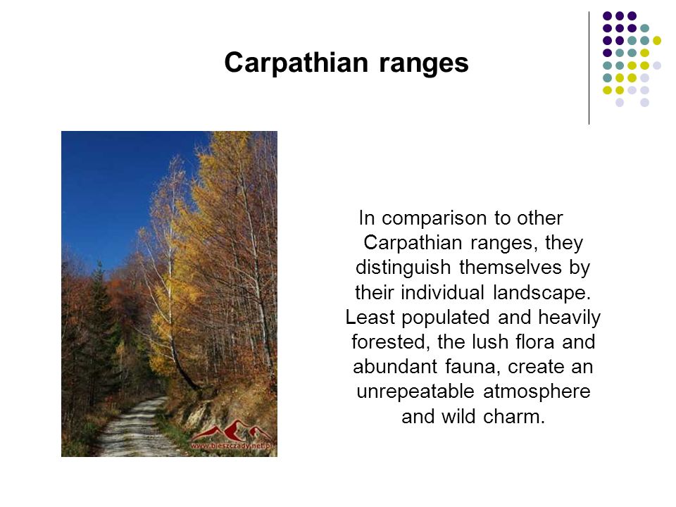 Carpathian ranges In comparison to other Carpathian ranges, they distinguish themselves by their individual landscape.