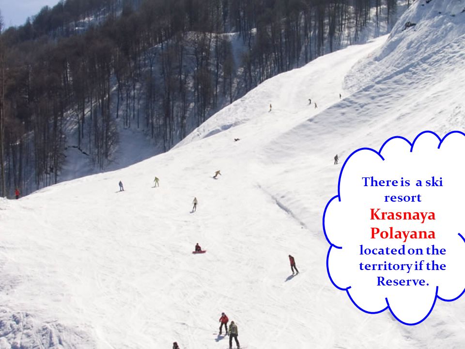 There is a ski resort Krasnaya Polayana located on the territory if the Reserve.