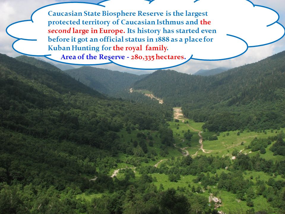 Caucasian State Biosphere Reserve is the largest protected territory of Caucasian Isthmus and the second large in Europe.