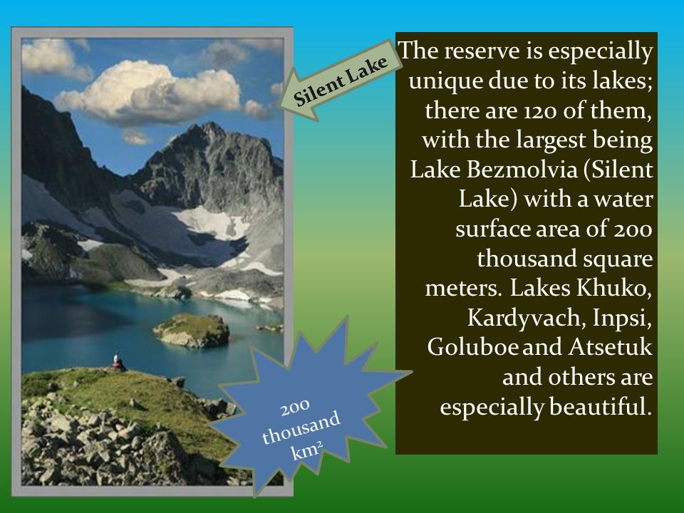 The reserve is especially unique due to its lakes; there are 120 of them, with the largest being Lake Bezmolvia (Silent Lake) with a water surface area of 200 thousand square meters.