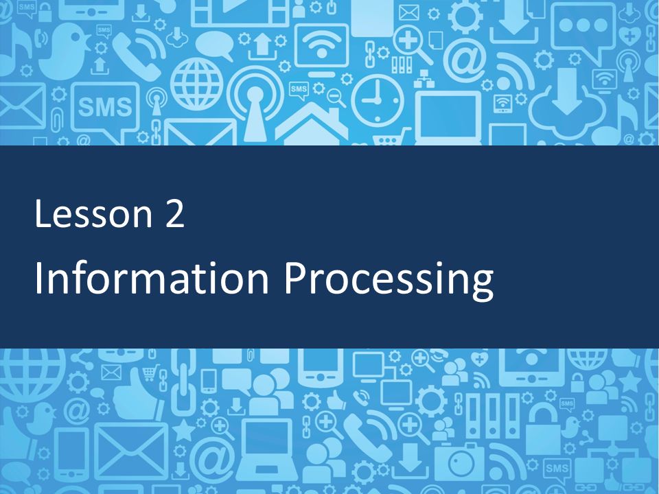 Lesson 2 Information Processing