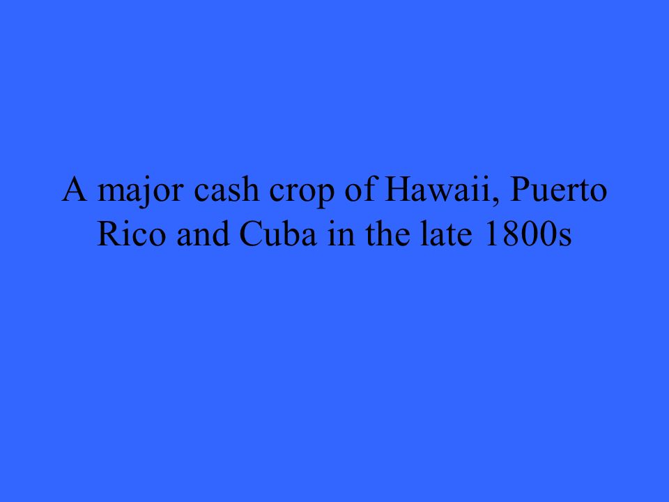 A major cash crop of Hawaii, Puerto Rico and Cuba in the late 1800s