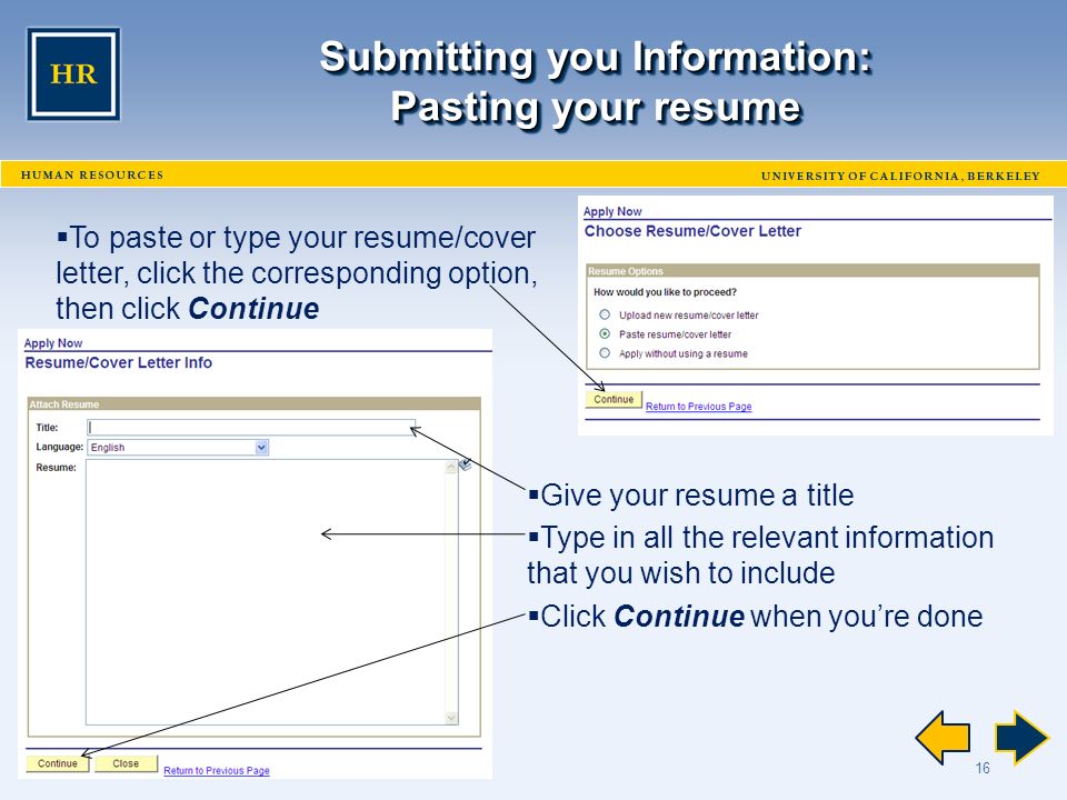 16 Submitting you Information: Pasting your resume  To paste or type your resume/cover letter, click the corresponding option, then click Continue  Give your resume a title  Type in all the relevant information that you wish to include  Click Continue when you’re done