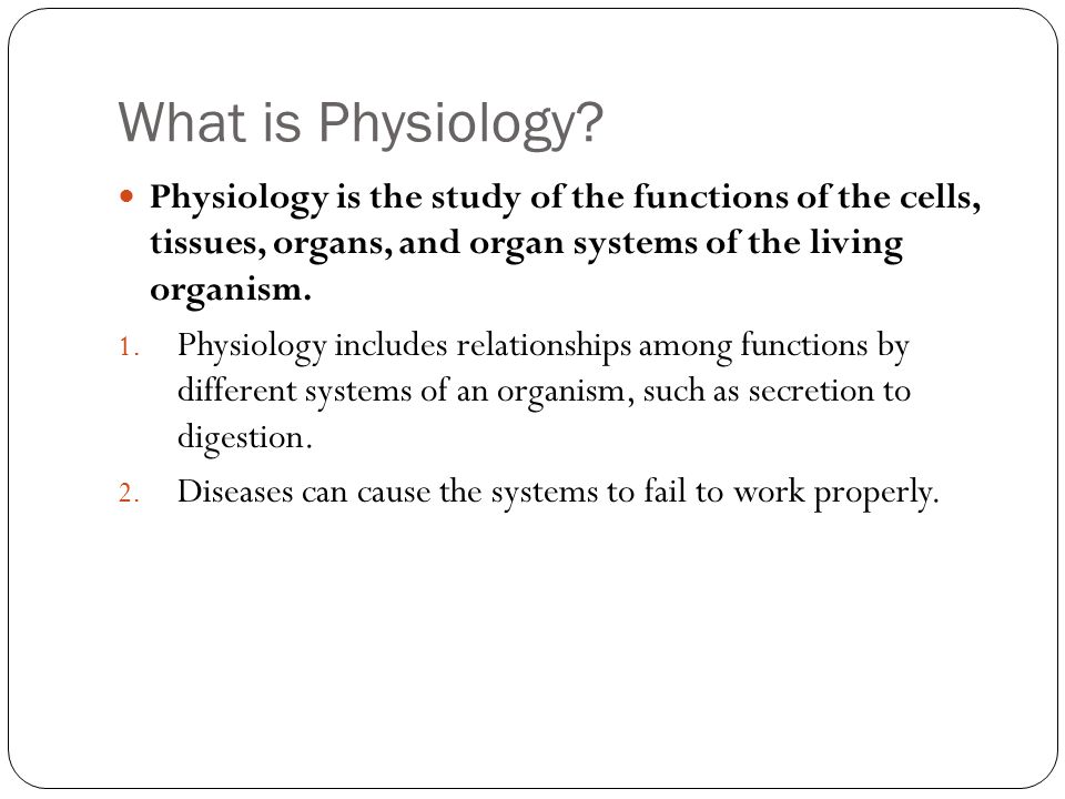 AgScience Animal Physiology. Today we will… explain the meaning of  physiology. describe the importance of physiology in animal production.  list the organ. - ppt download