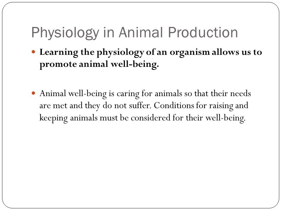 AgScience Animal Physiology. Today we will… explain the meaning of  physiology. describe the importance of physiology in animal production.  list the organ. - ppt download