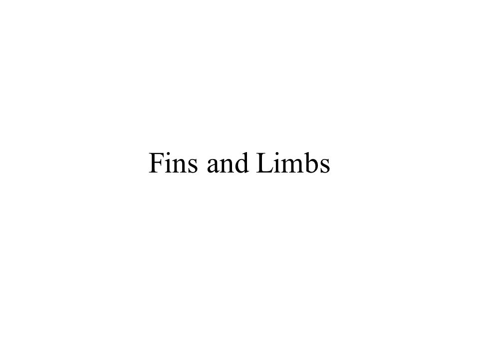 Fins and Limbs