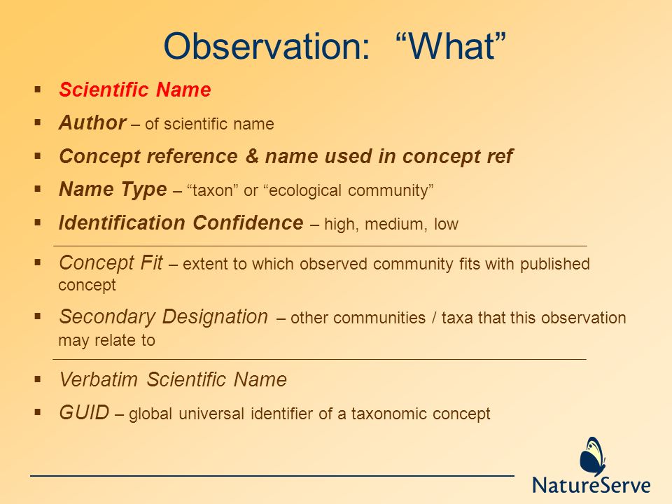 Observation: What  Scientific Name  Author – of scientific name  Concept reference & name used in concept ref  Name Type – taxon or ecological community  Identification Confidence – high, medium, low  Concept Fit – extent to which observed community fits with published concept  Secondary Designation – other communities / taxa that this observation may relate to  Verbatim Scientific Name  GUID – global universal identifier of a taxonomic concept