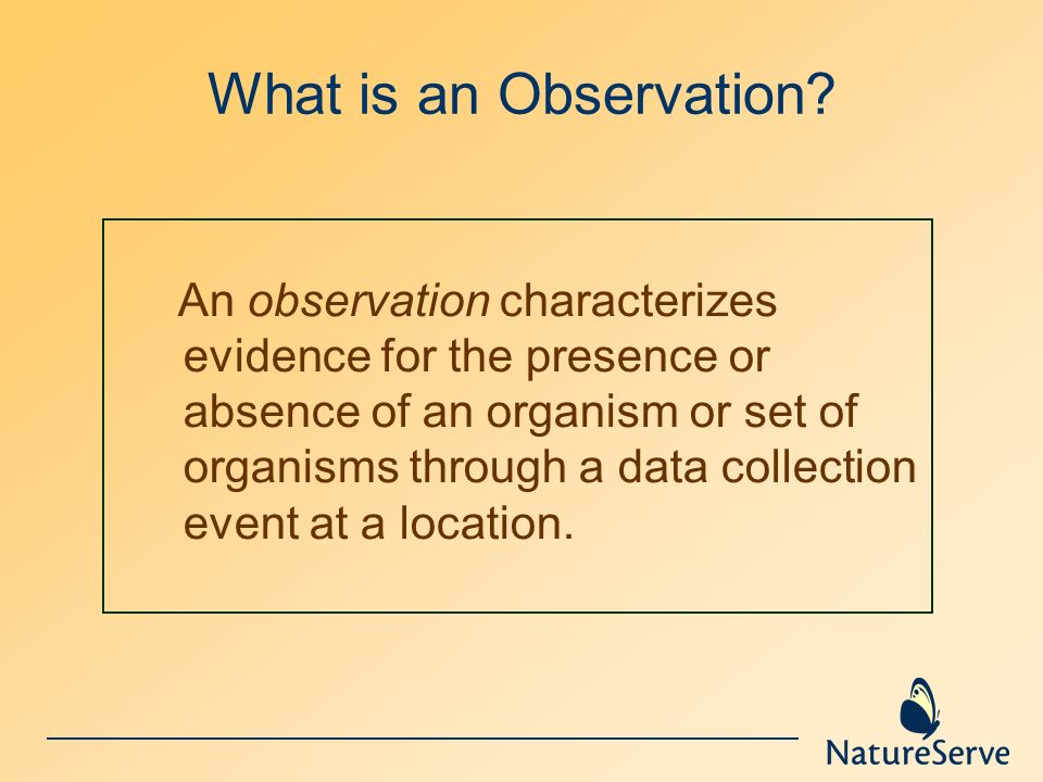 What is an Observation.