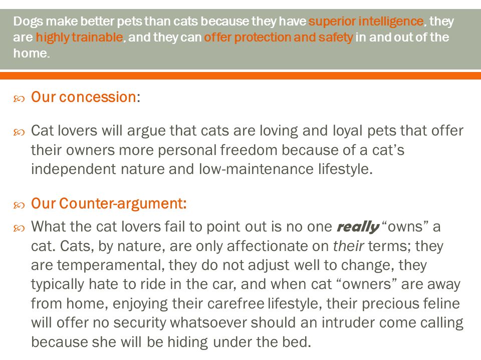  Our concession:  Cat lovers will argue that cats are loving and loyal pets that offer their owners more personal freedom because of a cat’s independent nature and low-maintenance lifestyle.