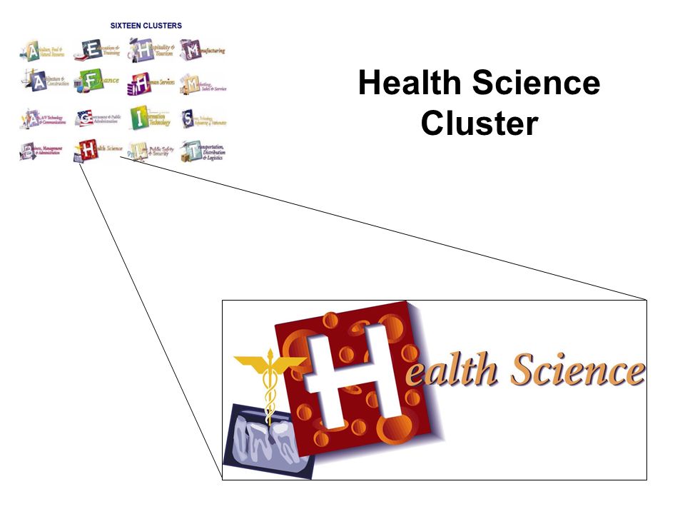 Health Science Cluster