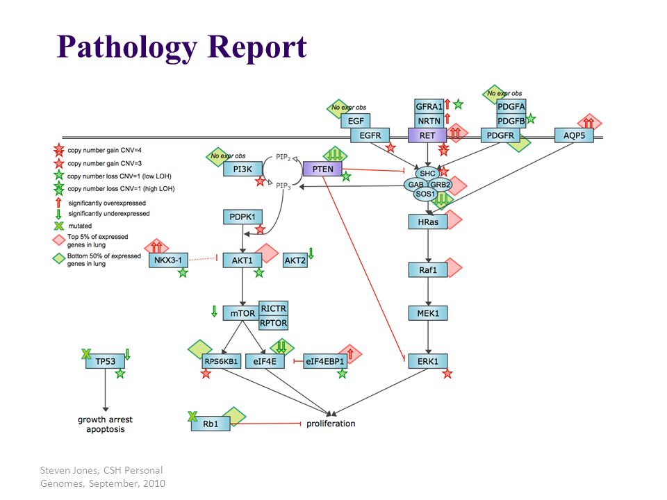 Pathology Report Steven Jones, CSH Personal Genomes, September, 2010
