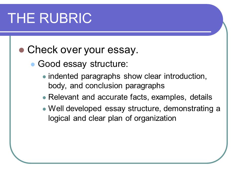 THE RUBRIC Check over your essay.