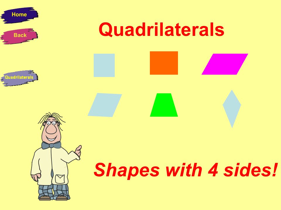 Quadrilaterals Shapes With 4 Sides We Are All Quadrilaterals We