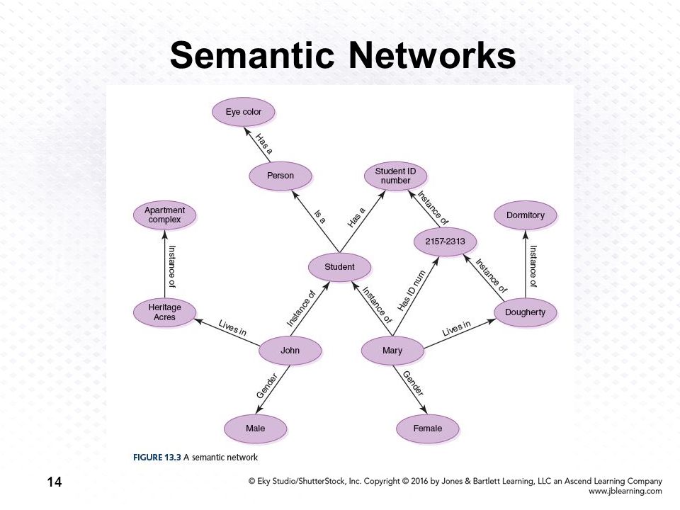 14 Semantic Networks