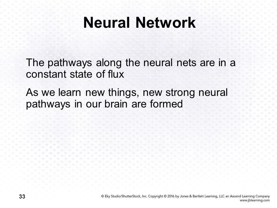 33 Neural Network The pathways along the neural nets are in a constant state of flux As we learn new things, new strong neural pathways in our brain are formed
