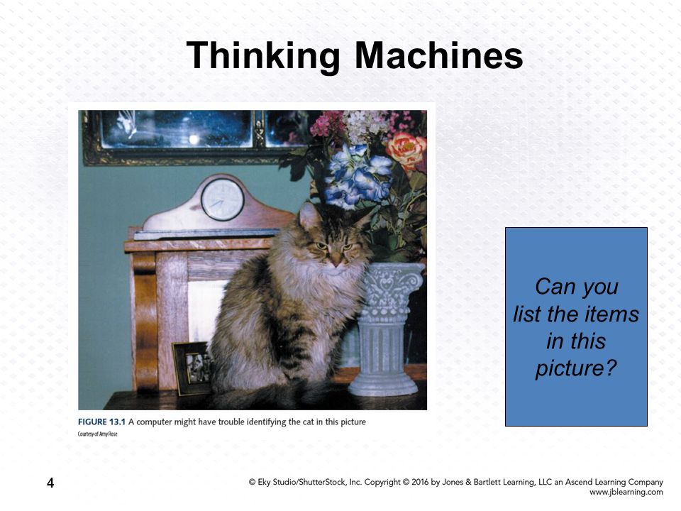 4 Thinking Machines Can you list the items in this picture
