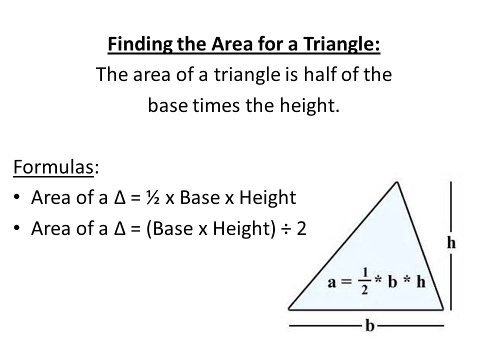 Finding the Area for a Triangle: The area of a triangle is half of the base times the height.