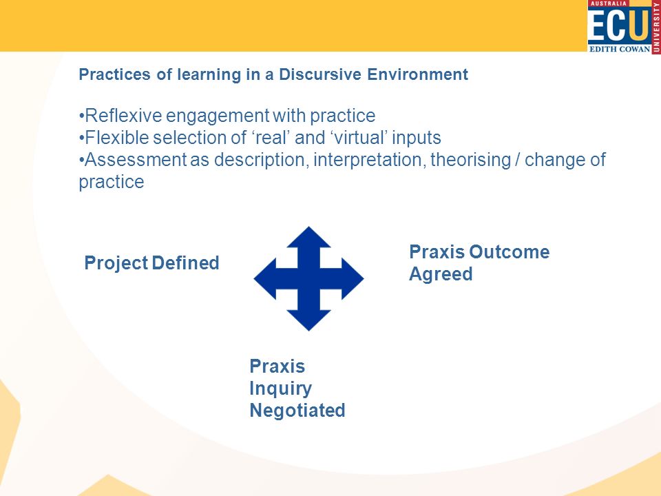 Practices of learning in a Discursive Environment Reflexive engagement with practice Flexible selection of ‘real’ and ‘virtual’ inputs Assessment as description, interpretation, theorising / change of practice Project Defined Praxis Inquiry Negotiated Praxis Outcome Agreed