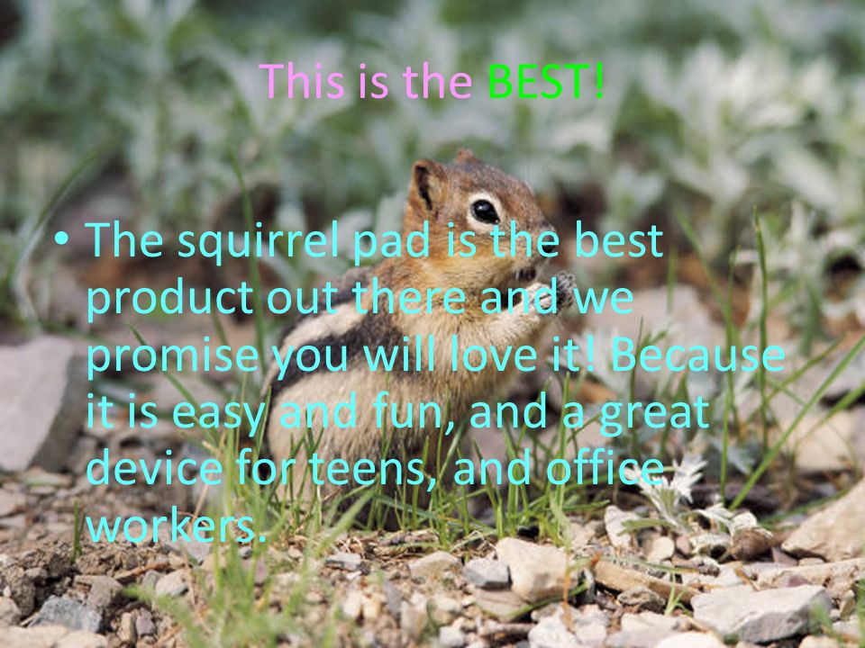This is the BEST. The squirrel pad is the best product out there and we promise you will love it.