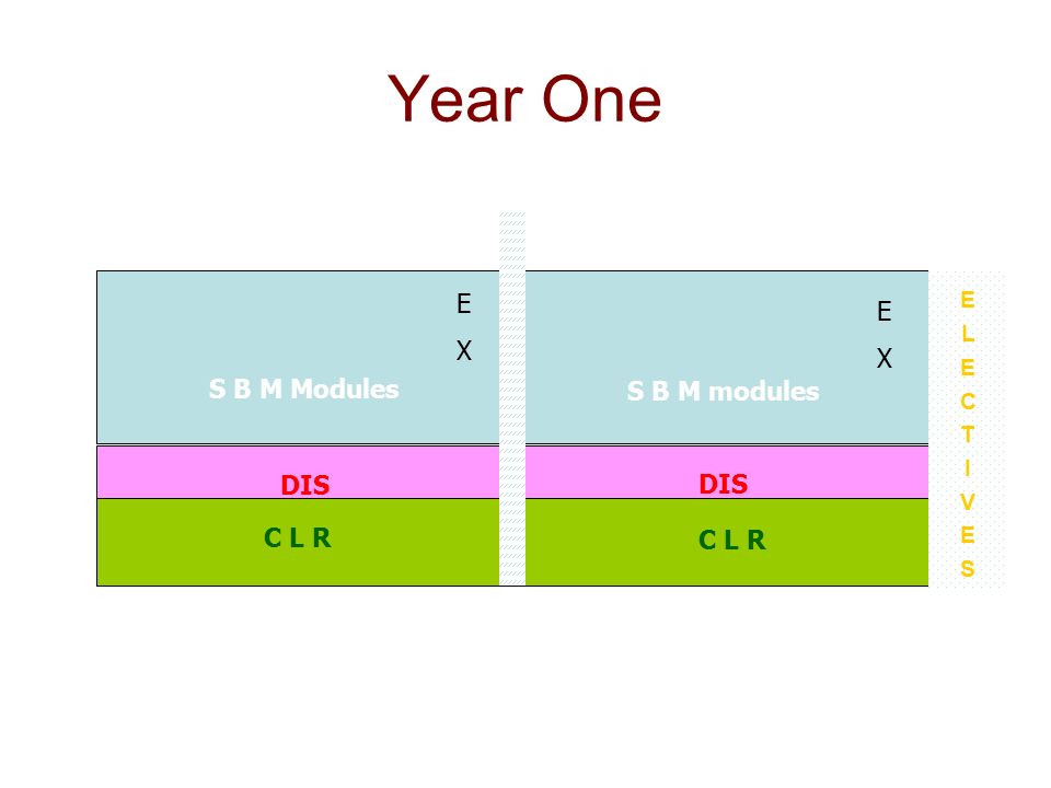 Year One E X S B M modules S B M Modules EXEX DIS C L R ELECTIVESELECTIVES