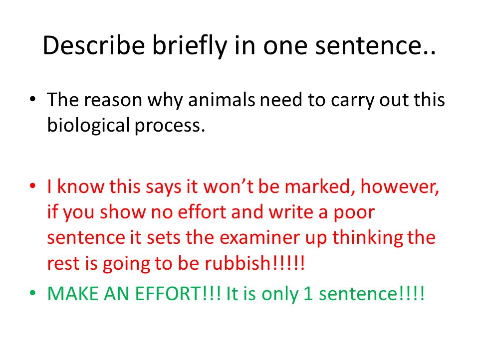 Animal Diversity Essay FEEDBACK. Describe briefly in one sentence.. The  reason why animals need to carry out this biological process. I know this  says. - ppt download