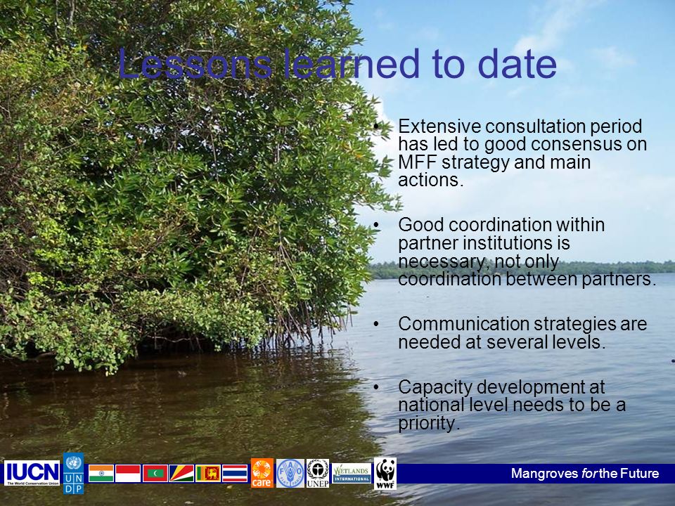 Mangroves for the Future Lessons learned to date Extensive consultation period has led to good consensus on MFF strategy and main actions.