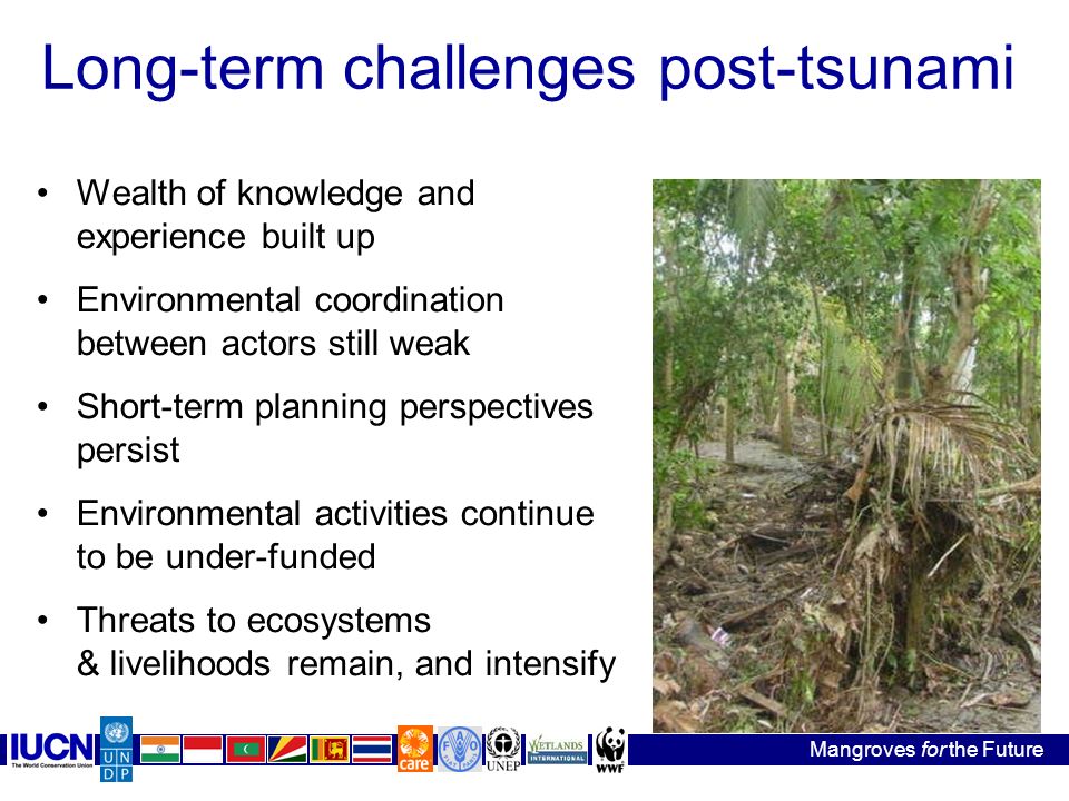 Long-term challenges post-tsunami Wealth of knowledge and experience built up Environmental coordination between actors still weak Short-term planning perspectives persist Environmental activities continue to be under-funded Threats to ecosystems & livelihoods remain, and intensify Mangroves for the Future