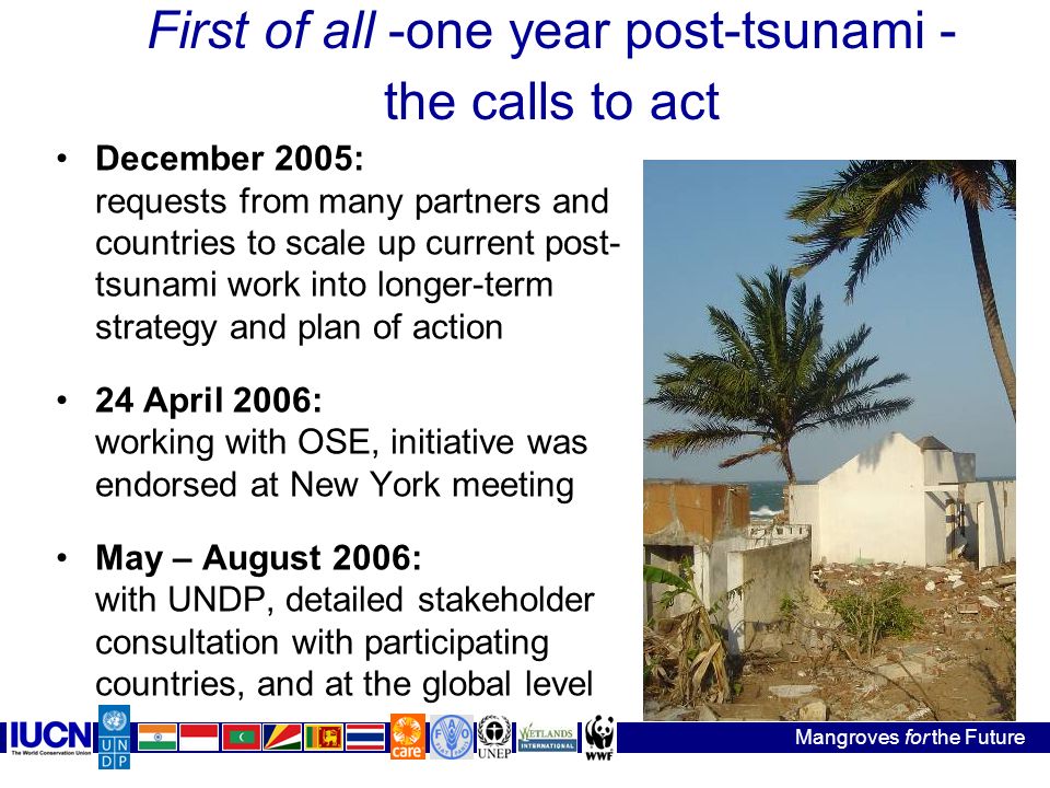First of all -one year post-tsunami - the calls to act December 2005: requests from many partners and countries to scale up current post- tsunami work into longer-term strategy and plan of action 24 April 2006: working with OSE, initiative was endorsed at New York meeting May – August 2006: with UNDP, detailed stakeholder consultation with participating countries, and at the global level Mangroves for the Future
