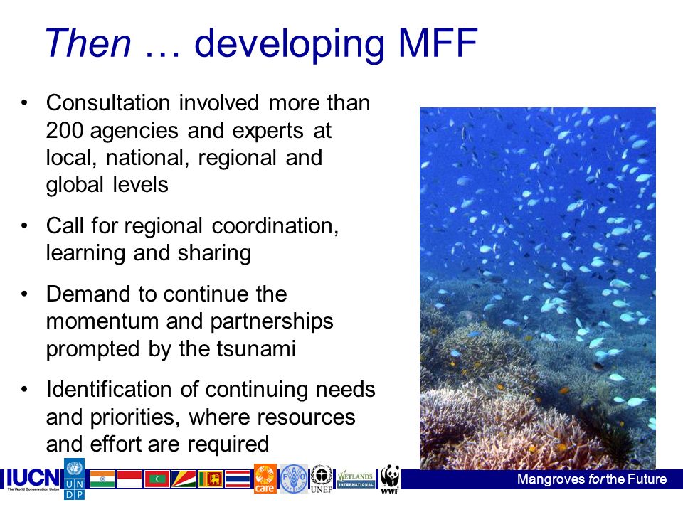 Then … developing MFF Mangroves for the Future Consultation involved more than 200 agencies and experts at local, national, regional and global levels Call for regional coordination, learning and sharing Demand to continue the momentum and partnerships prompted by the tsunami Identification of continuing needs and priorities, where resources and effort are required