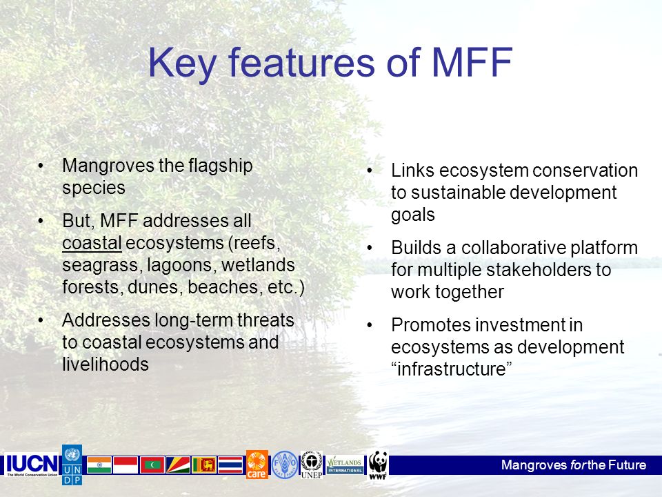 Mangroves the flagship species But, MFF addresses all coastal ecosystems (reefs, seagrass, lagoons, wetlands forests, dunes, beaches, etc.) Addresses long-term threats to coastal ecosystems and livelihoods Mangroves for the Future Links ecosystem conservation to sustainable development goals Builds a collaborative platform for multiple stakeholders to work together Promotes investment in ecosystems as development infrastructure Key features of MFF