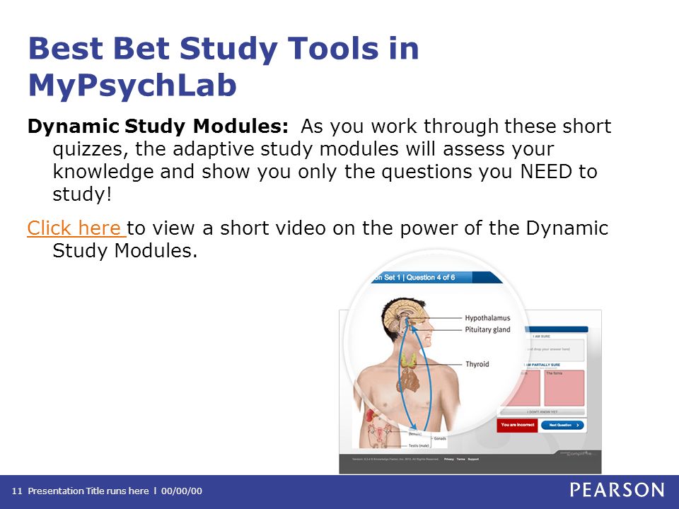 Best Bet Study Tools in MyPsychLab Dynamic Study Modules: As you work through these short quizzes, the adaptive study modules will assess your knowledge and show you only the questions you NEED to study.