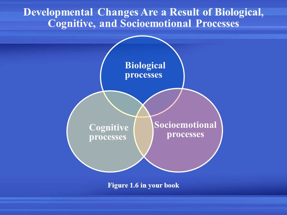 Figure 1.6 in your book Biological processes Socioemotional processes Cognitive processes Developmental Changes Are a Result of Biological, Cognitive, and Socioemotional Processes