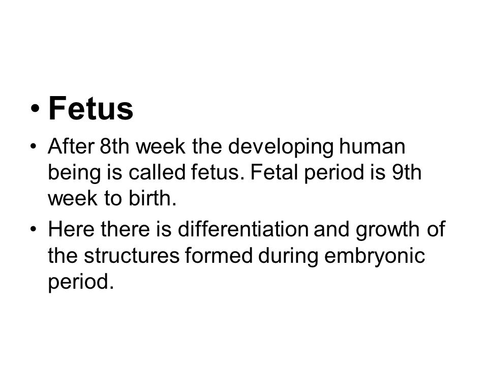 Fetus After 8th week the developing human being is called fetus.