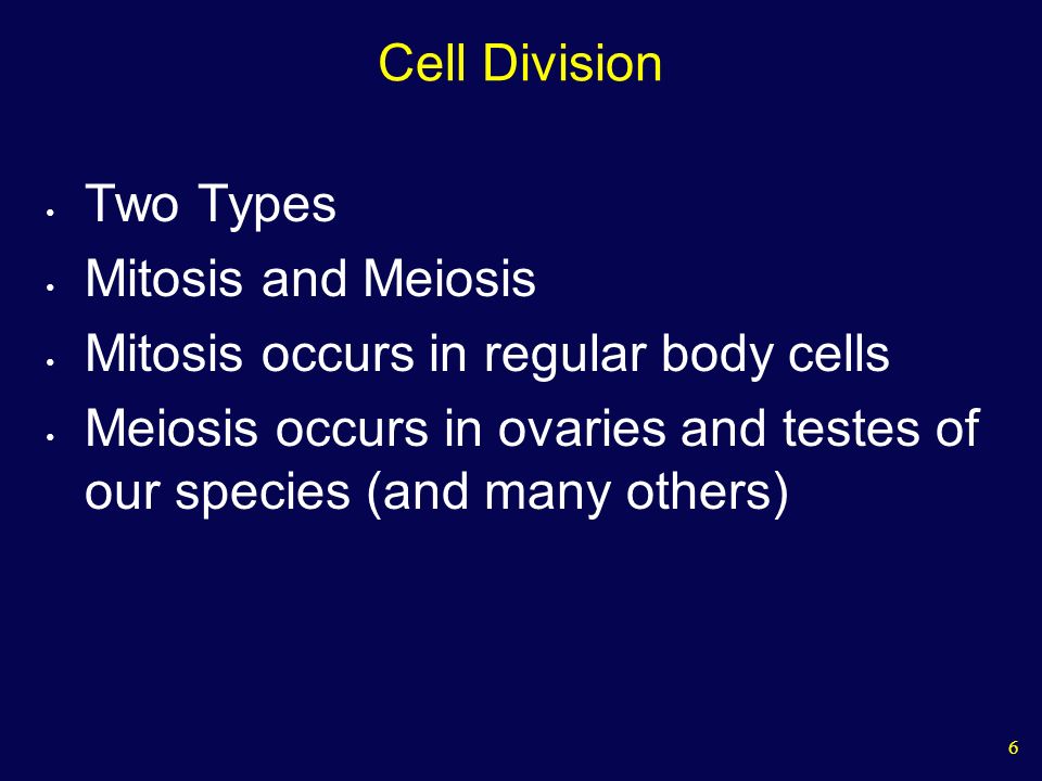 6 Cell Division Two Types Mitosis and Meiosis Mitosis occurs in regular body cells Meiosis occurs in ovaries and testes of our species (and many others)