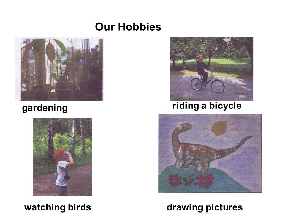 Our Hobbies riding a bicycle gardening watching birdsdrawing pictures