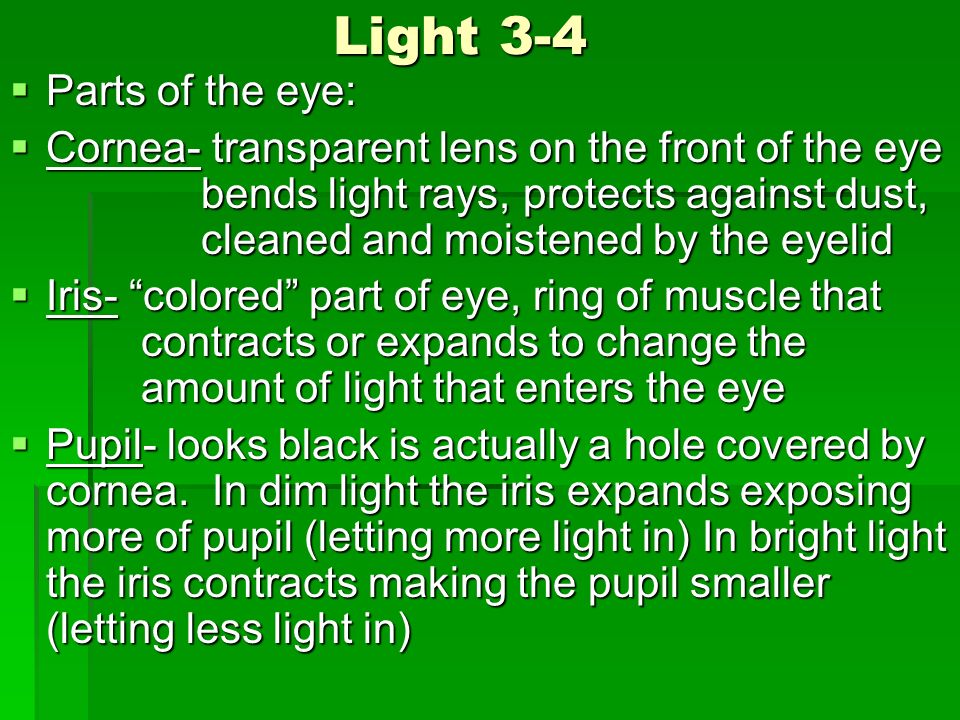 Light 3-4  Parts of the eye:  Cornea- transparent lens on the front of the eye bends light rays, protects against dust, cleaned and moistened by the eyelid  Iris- colored part of eye, ring of muscle that contracts or expands to change the amount of light that enters the eye  Pupil- looks black is actually a hole covered by cornea.