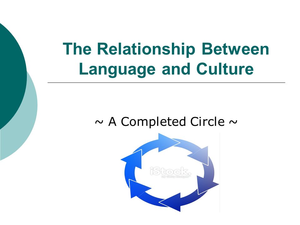 the relation between language and culture