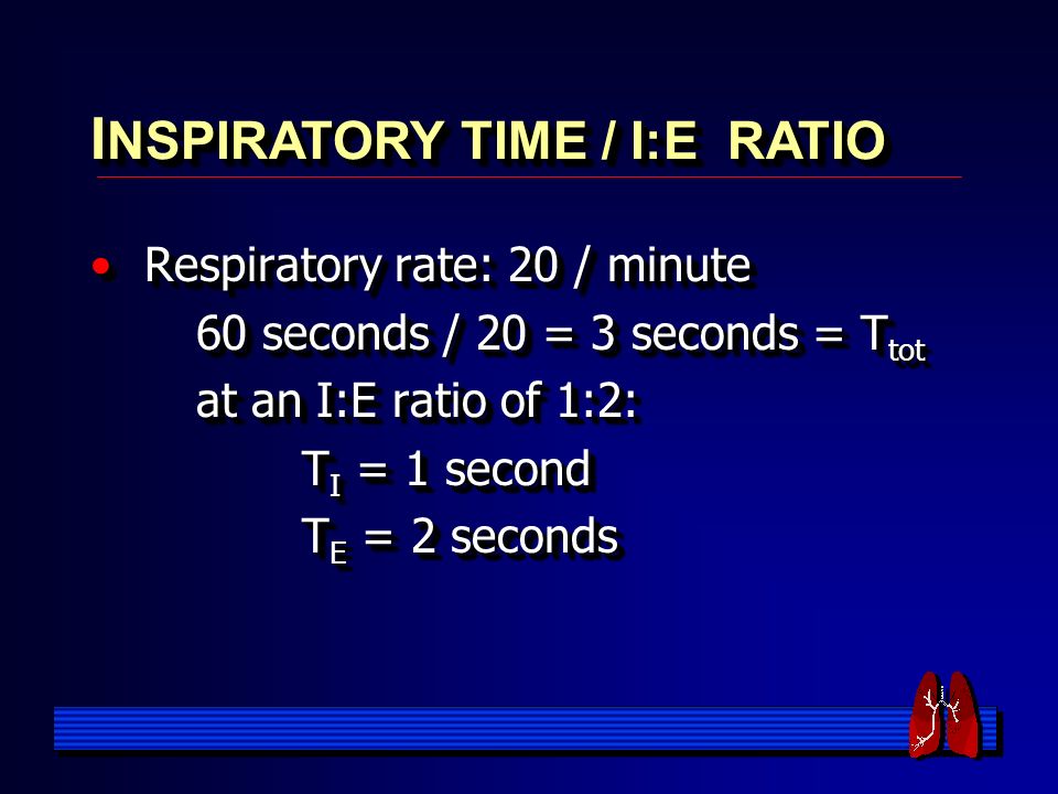 Respiratory rate: 20 / minute Respiratory rate: 20 / minute 60 seconds / 20 = 3 seconds = T tot at an I:E ratio of 1:2: T I = 1 second T E = 2 seconds Respiratory rate: 20 / minute Respiratory rate: 20 / minute 60 seconds / 20 = 3 seconds = T tot at an I:E ratio of 1:2: T I = 1 second T E = 2 seconds I NSPIRATORY TIME / I:E RATIO