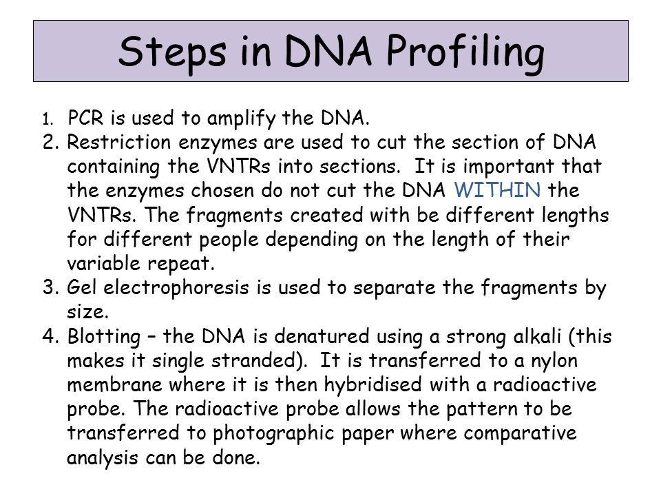 Dna Profiling Flow Chart