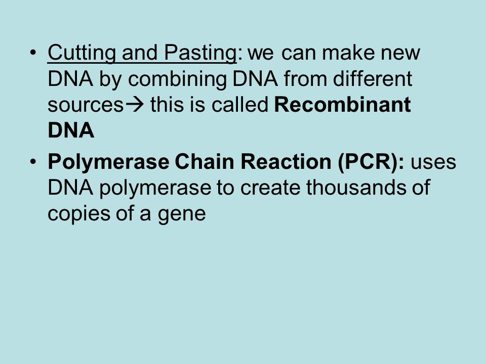 Cutting and Pasting: we can make new DNA by combining DNA from different sources  this is called Recombinant DNA Polymerase Chain Reaction (PCR): uses DNA polymerase to create thousands of copies of a gene