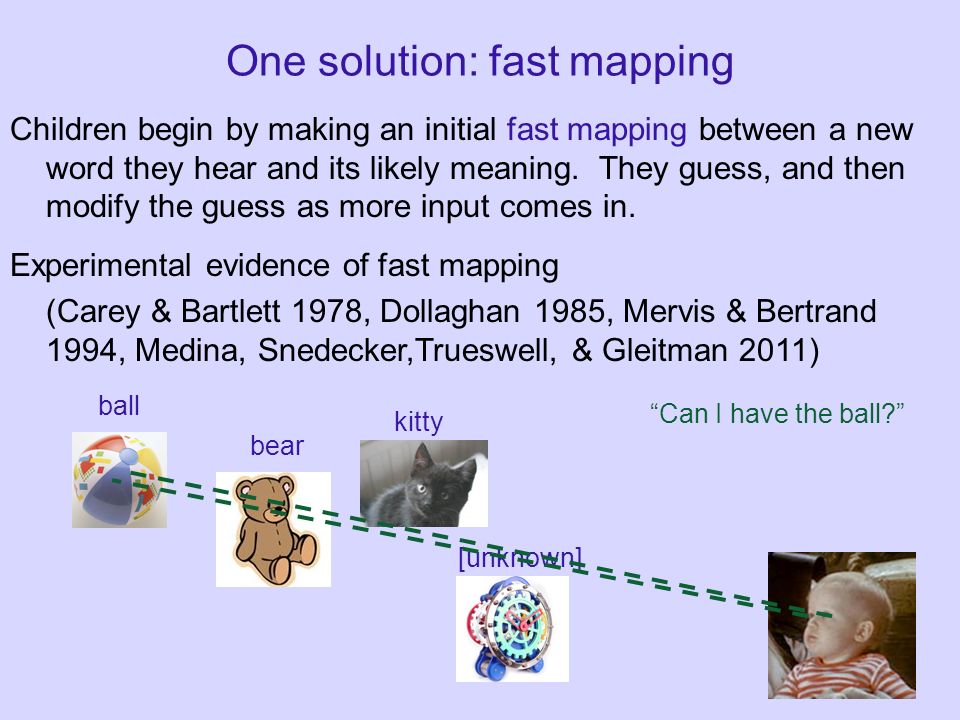 What Is Fast Mapping Psych 56L/ Ling 51: Acquisition Of Language Lecture 11 Lexical Development  Iii. - Ppt Download