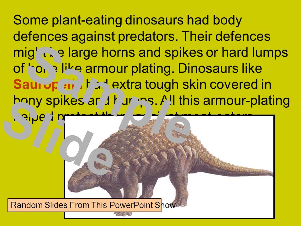 Some plant-eating dinosaurs had body defences against predators.
