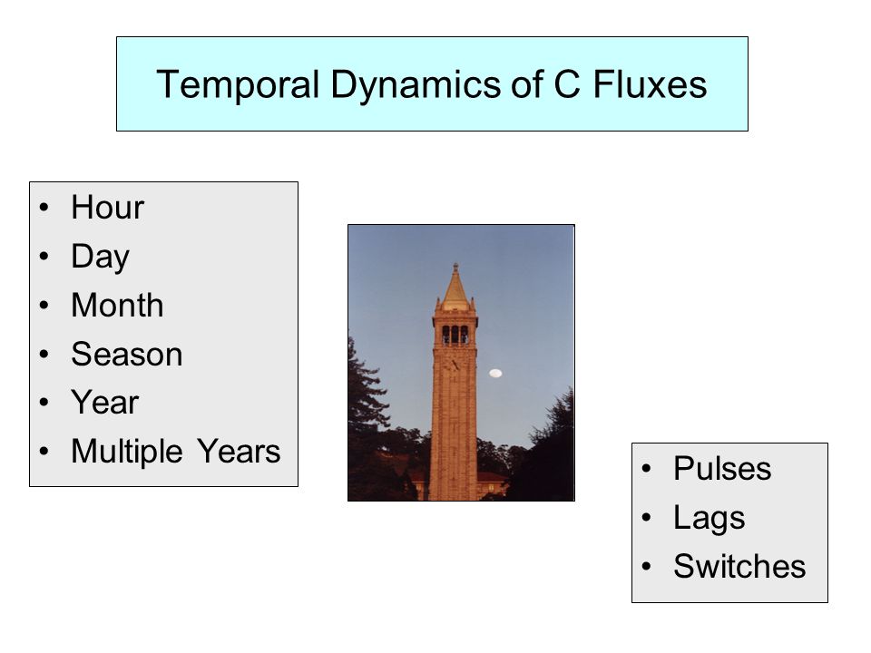 Temporal Dynamics of C Fluxes Hour Day Month Season Year Multiple Years Pulses Lags Switches