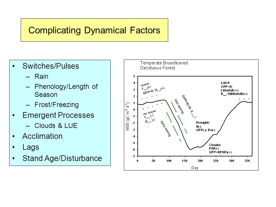 Complicating Dynamical Factors Switches/Pulses –Rain –Phenology/Length of Season –Frost/Freezing Emergent Processes –Clouds & LUE Acclimation Lags Stand Age/Disturbance