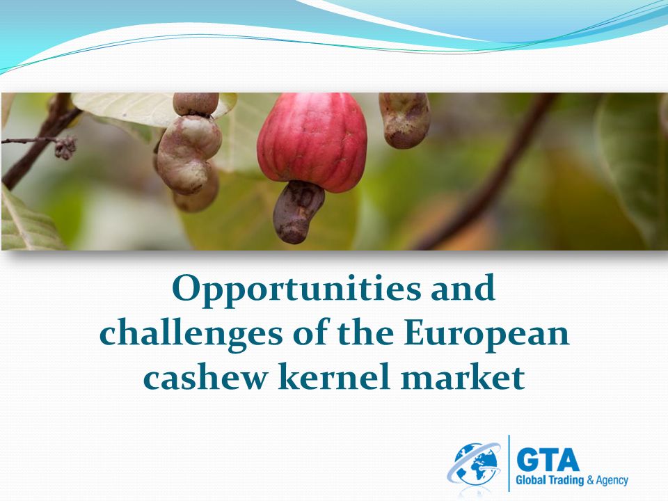 cashew kernel market