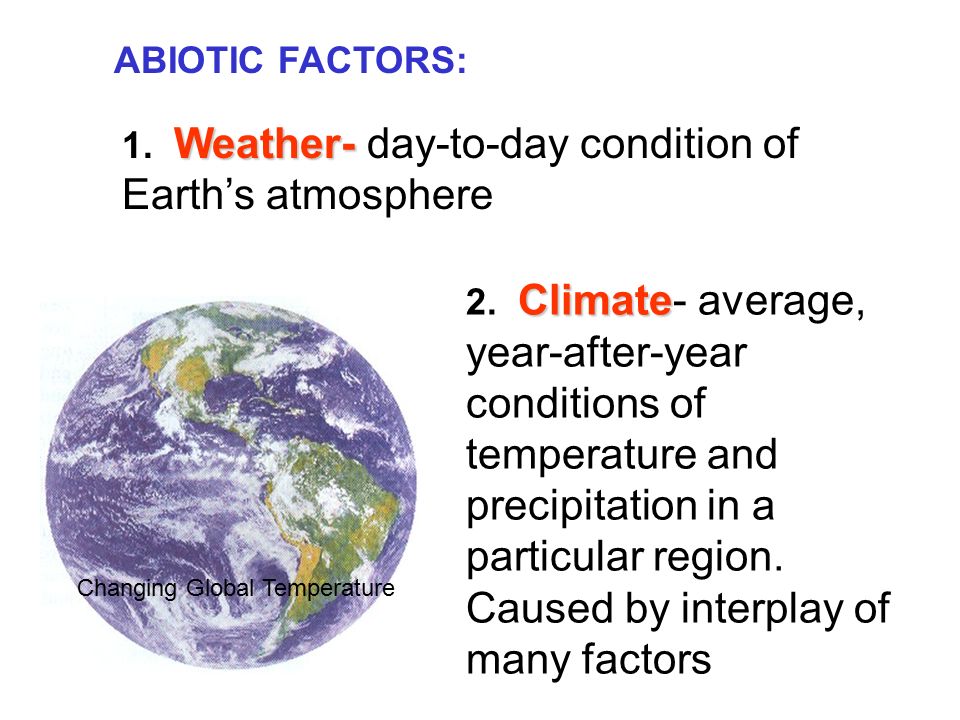 ABIOTIC FACTORS: Weather- 1. Weather- day-to-day condition of Earth’s atmosphere Climate 2.
