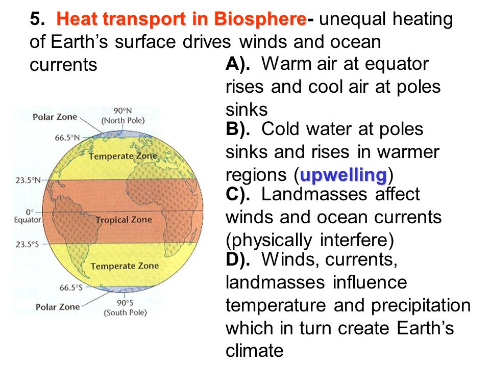 Heat transport in Biosphere 5.