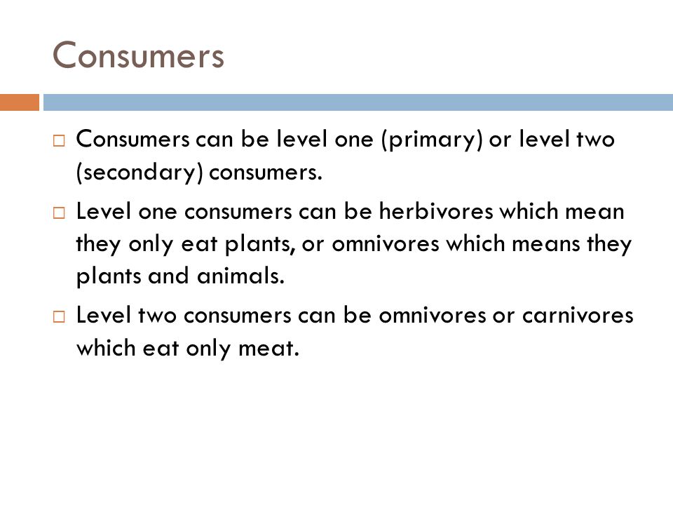 Consumers  Consumers can be level one (primary) or level two (secondary) consumers.