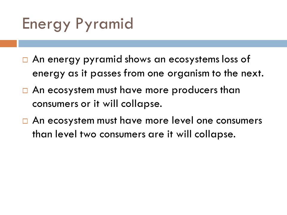 Energy Pyramid  An energy pyramid shows an ecosystems loss of energy as it passes from one organism to the next.