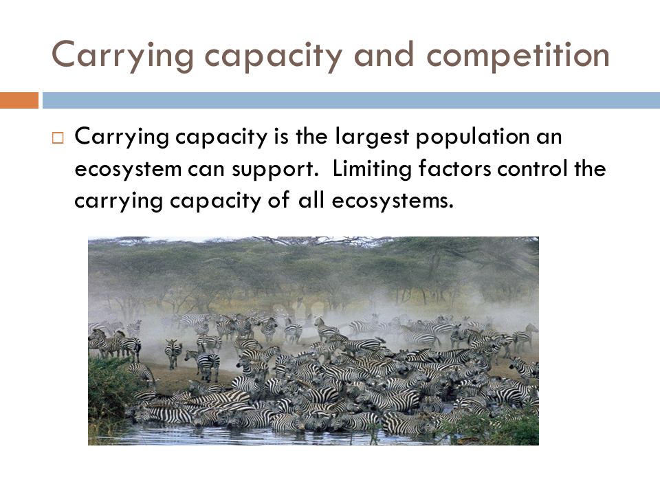 Carrying capacity and competition  Carrying capacity is the largest population an ecosystem can support.